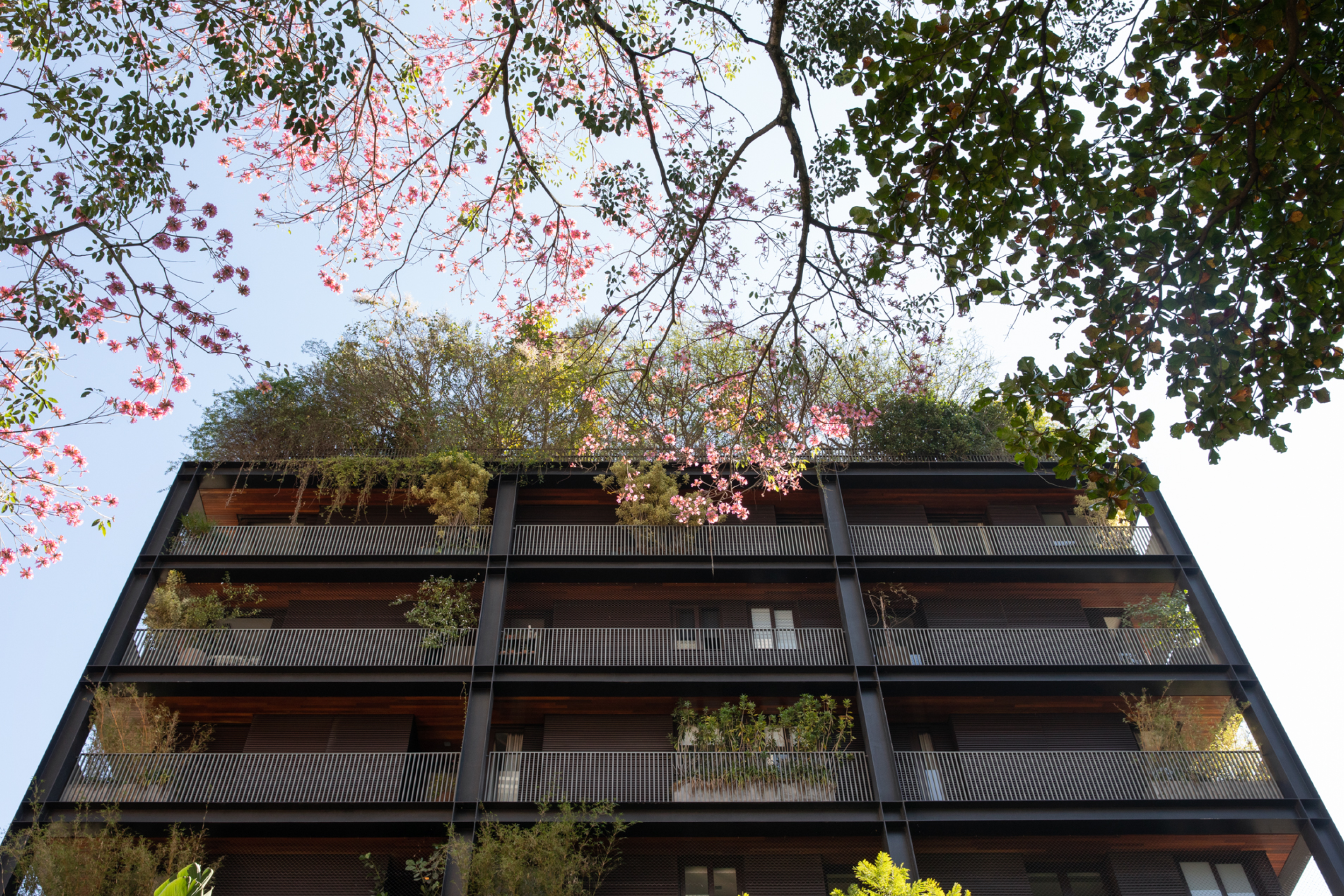 Idea Zarvos gallery 2